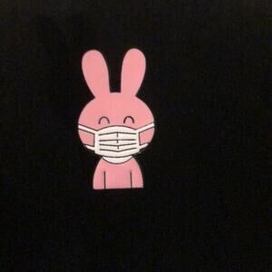 Bunny in Mask Pin Brooch